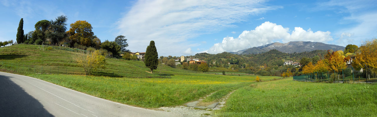 Panoramic shot of road amidst trees on field against sky