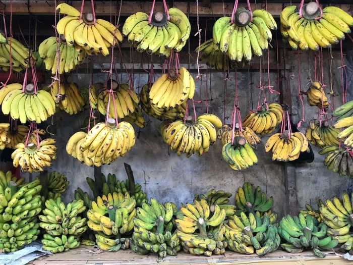Close-up of fruits hanging outdoors