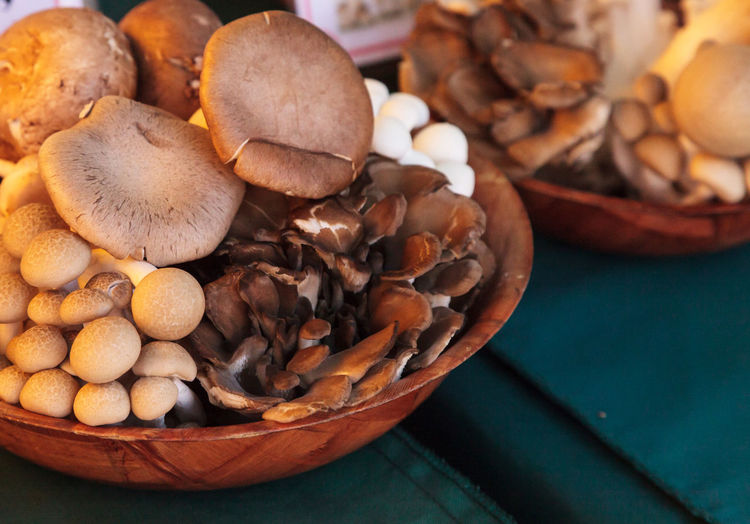 Close-up of fresh mushrooms in container