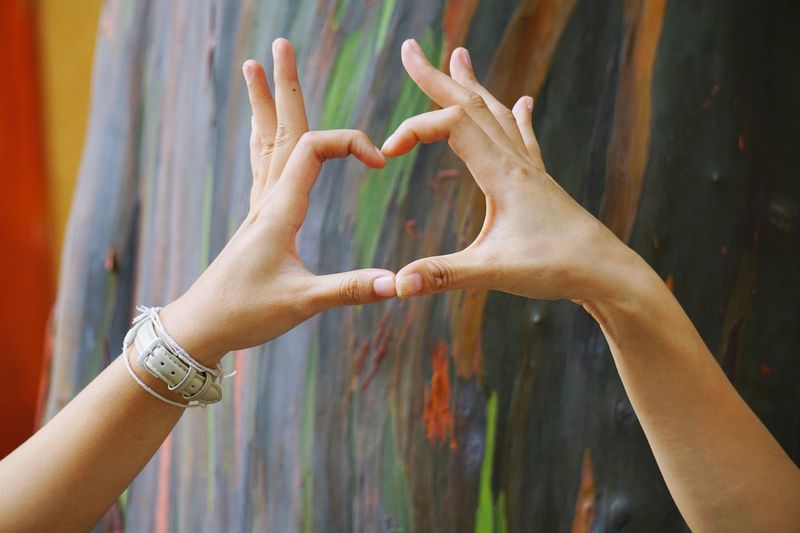 Cropped image of hands making heart shape