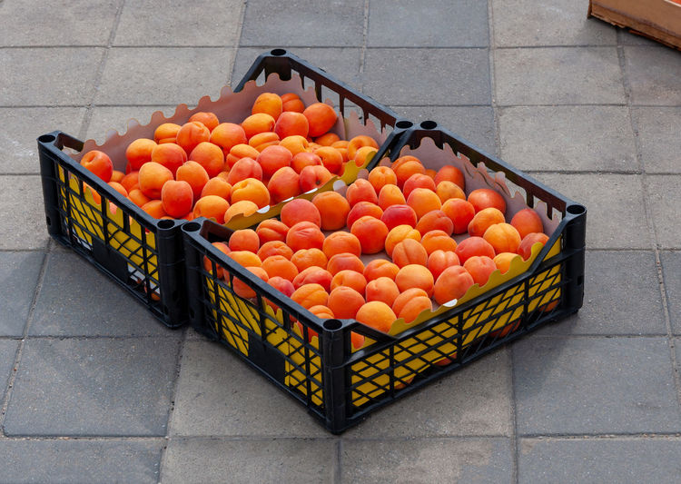 Orange fruits in container
