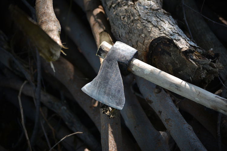 Iron axe which is used as a weapon or tool to shape, split and cut wood
