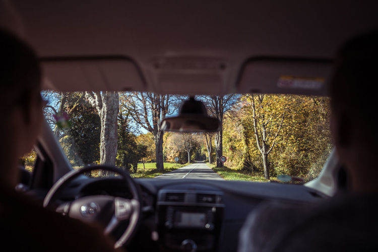 Rear view of people traveling in car against trees