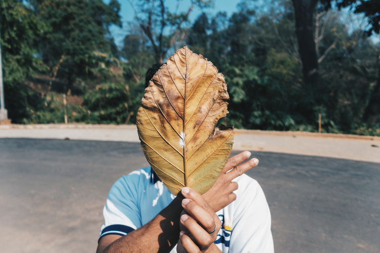 Close-up of man holding autumn leaf