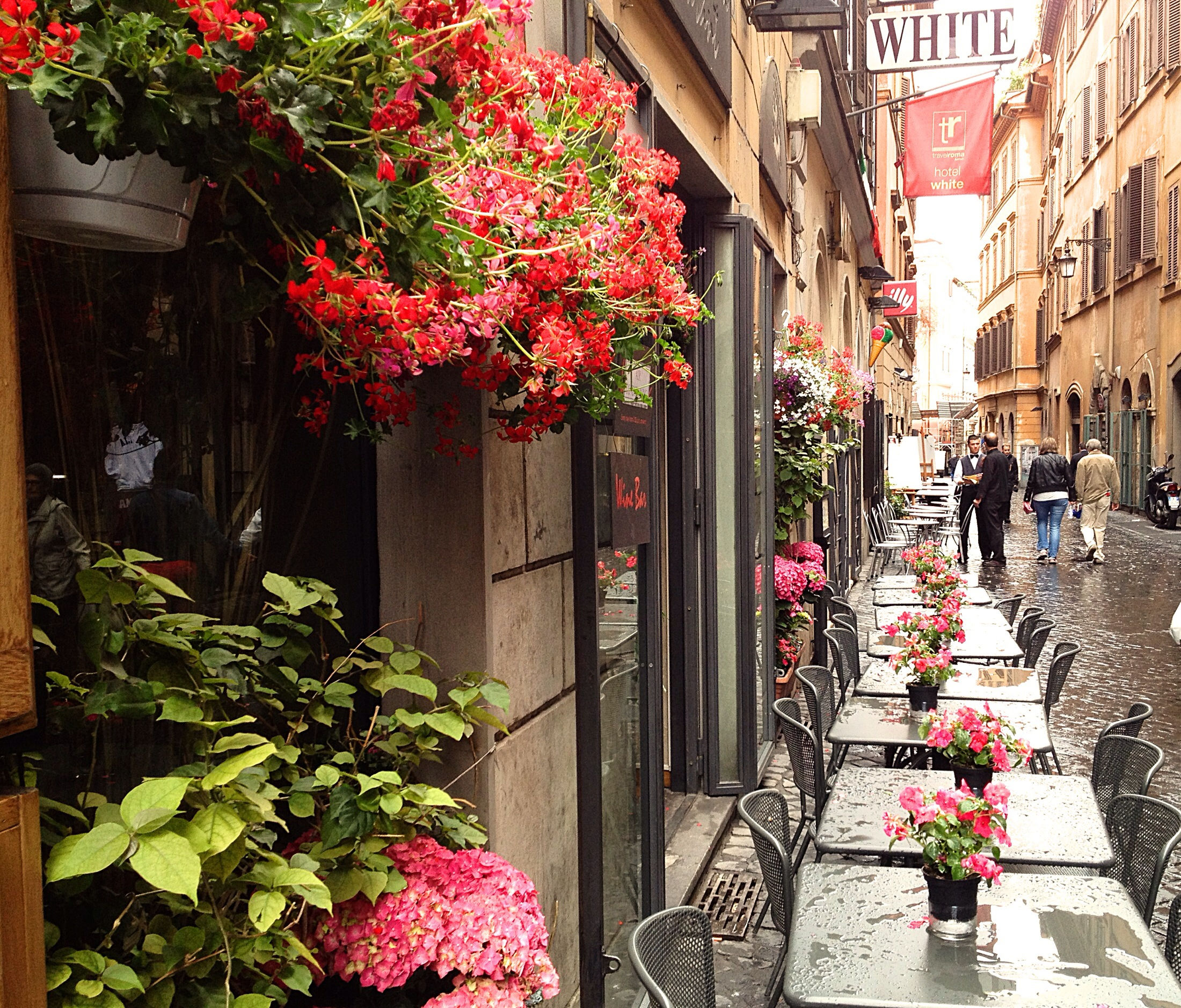 flower, building exterior, architecture, built structure, freshness, potted plant, plant, growth, city, street, pink color, incidental people, fragility, outdoors, day, blossom, nature, sidewalk, leaf, house