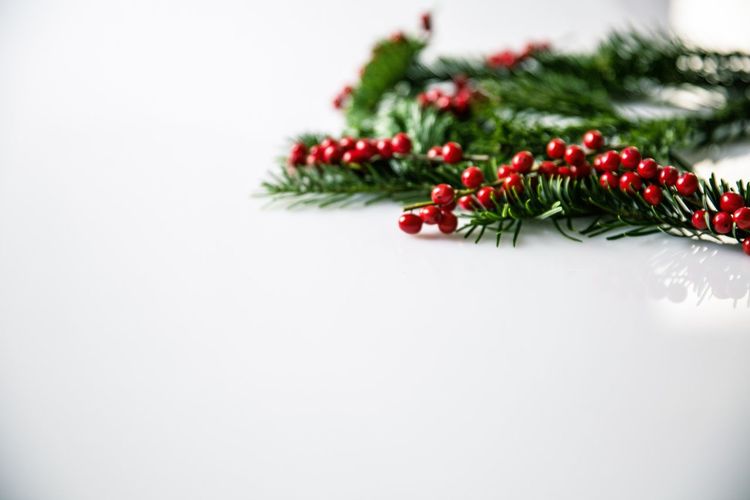 Close-up of christmas tree against white background