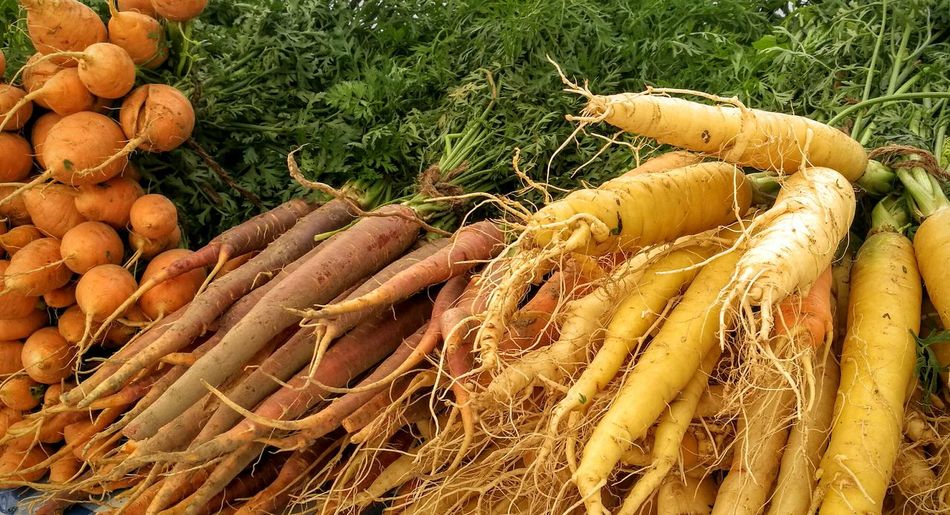 Carrots and radish for sale at market