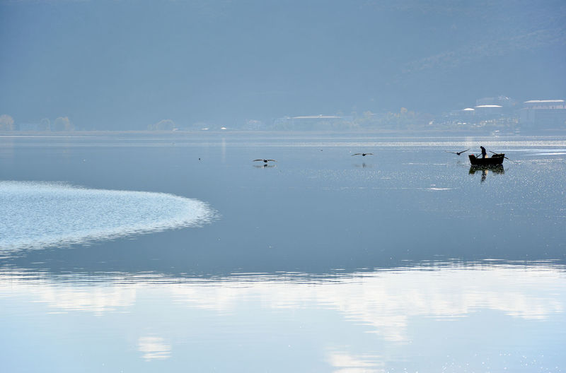 Fisherman and pelicans in the lake