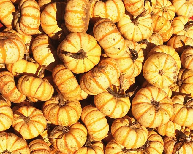 Full frame shot of pumpkins at market on sunny day