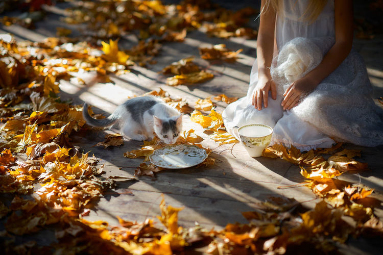 Low section of girl in a white nightgown with autumn leaves. morning light. horizontal. warm colours