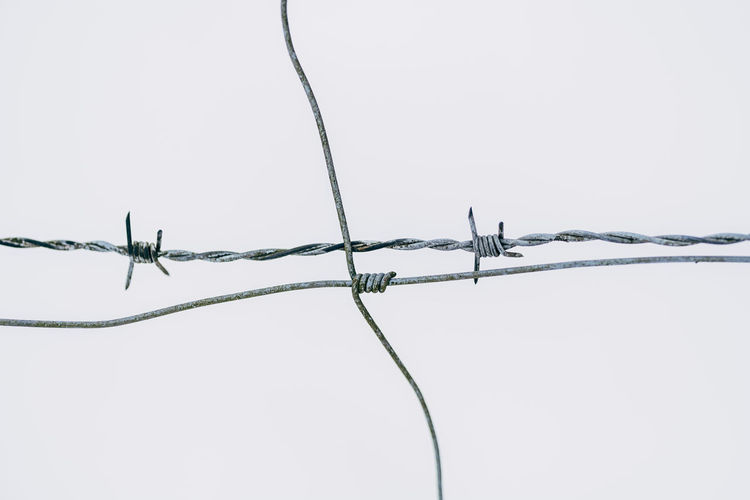 Barbed wire and fence isolated on a white background