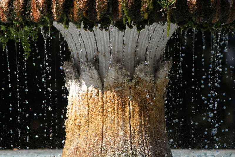 Close-up of water drops on fountain against trees
