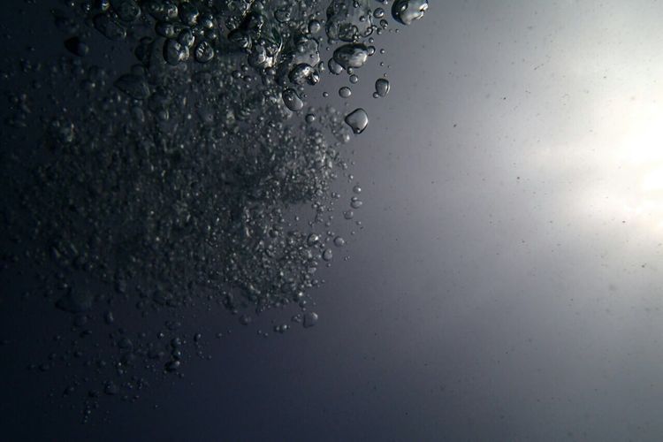 Low angle view of water bubbles