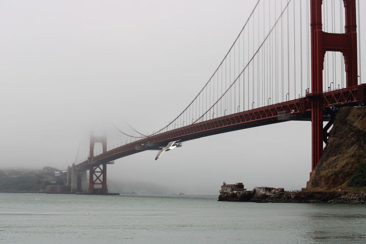 Fog in the bay