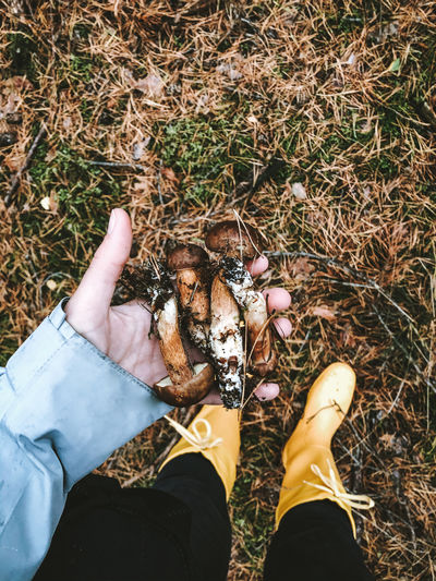 Low section of person holding mushrooms while standing on grass