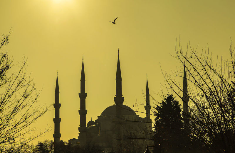 Low angle view of muslim temple with birds flying against sky during sunset in istanbul