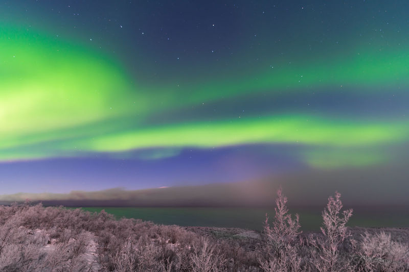Scenic view of landscape against sky at night with aurora borealis