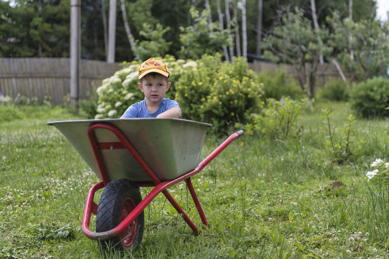 Boy looking away while sitting in wheelbarrow on grass