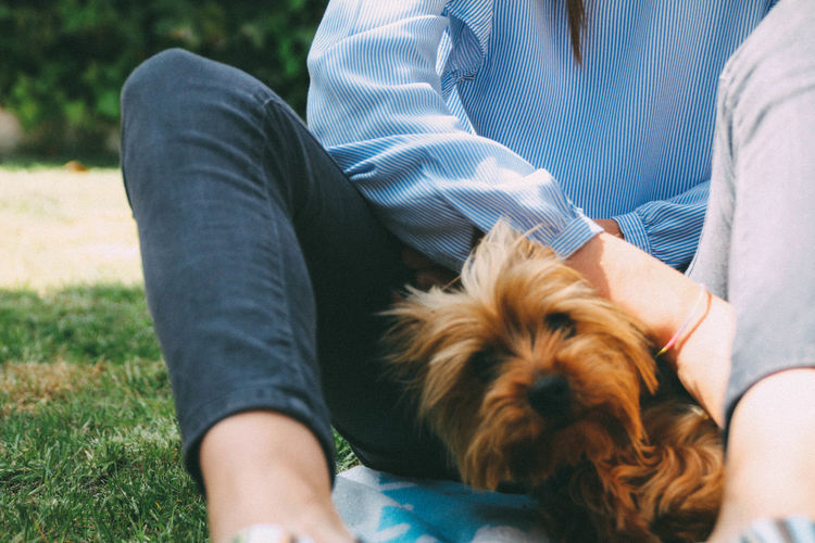 Midsection of woman sitting with dog on field