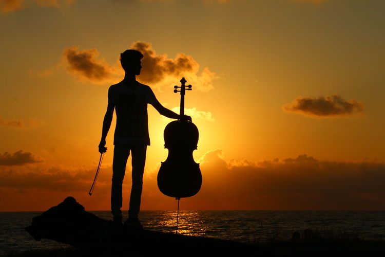 Silhouette man holding violin while standing on wood at beach against sky during sunset