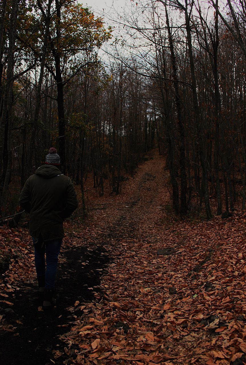 REAR VIEW OF MAN WALKING IN FOREST DURING AUTUMN