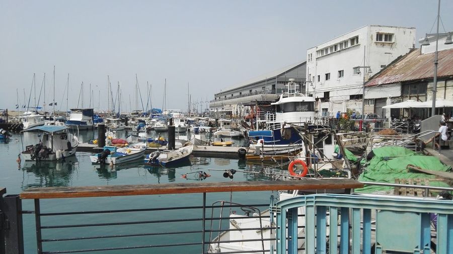 Boats moored in harbor against buildings in city