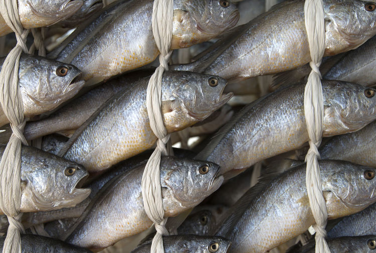 Full frame shot of fish for sale at market