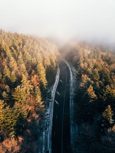 Moody aerial autumn landscape.foggy forest and country road from above at sunrise. travel concept