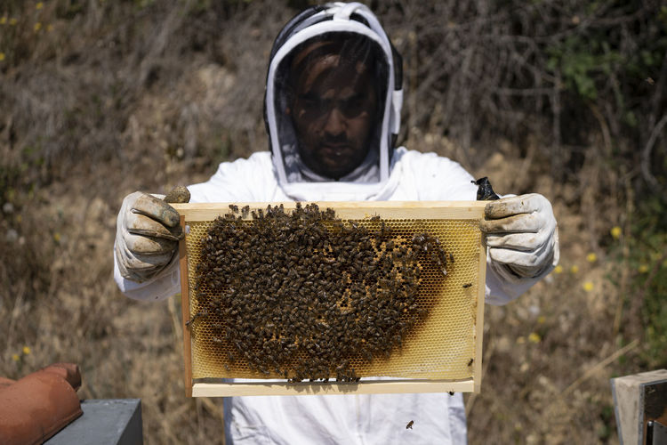 A beekeeper wears a suit and holds a beehive frame in front of him