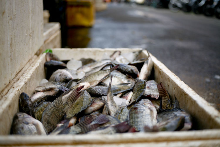 Close-up of crab in container at market