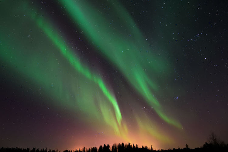 Low angle view of northern lights in sky at night