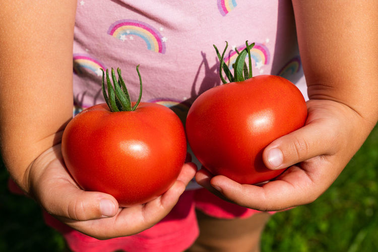 Midsection of woman holding tomatoes