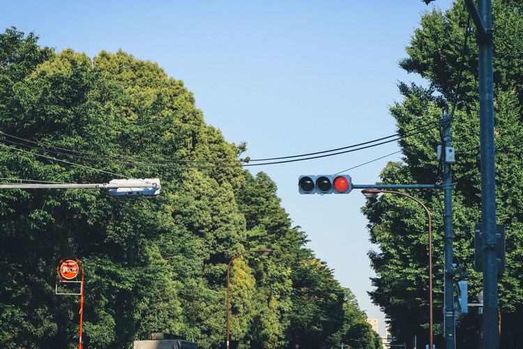 Low angle view of road amidst trees against sky