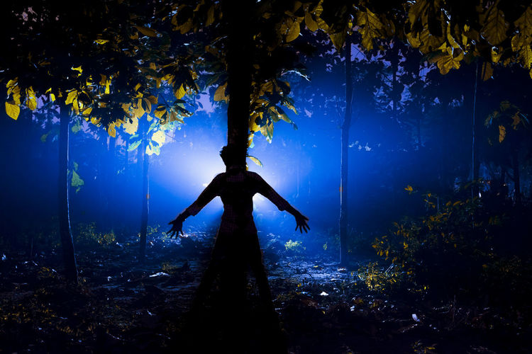Silhouette person against tree at night