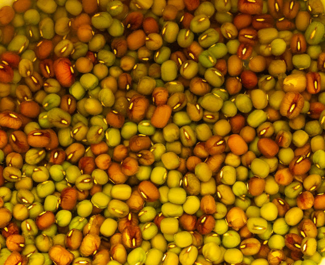 Full frame shot of oranges