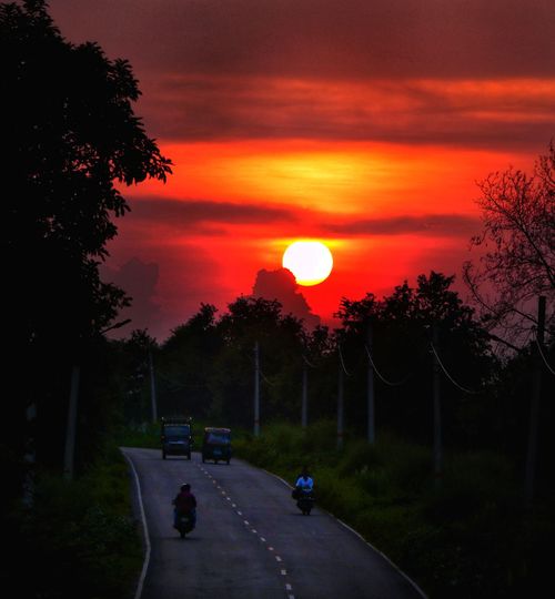 Road by silhouette trees against orange sky