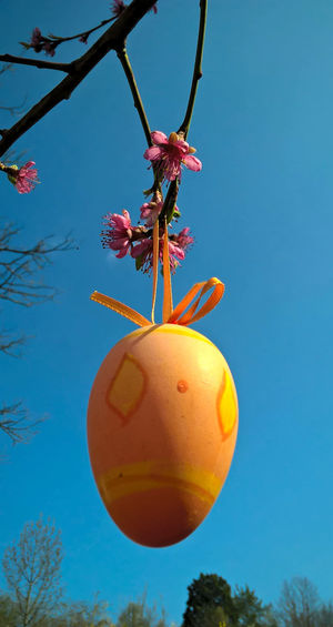 Low angle view of yellow easter egg hanging on tree against blue sky