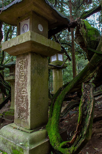 Low angle view of cross against trees and building