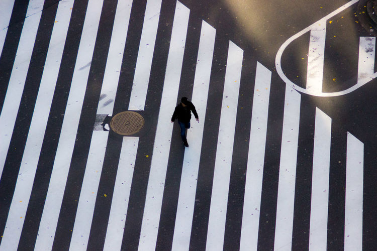 High angle view of horse on zebra crossing
