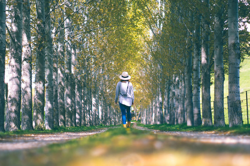 Rear view of woman walking amidst trees at forest