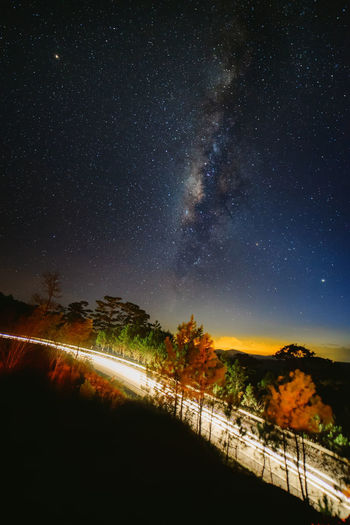 Scenic view of milkyway over the night sky with light trail and rows of pine tree