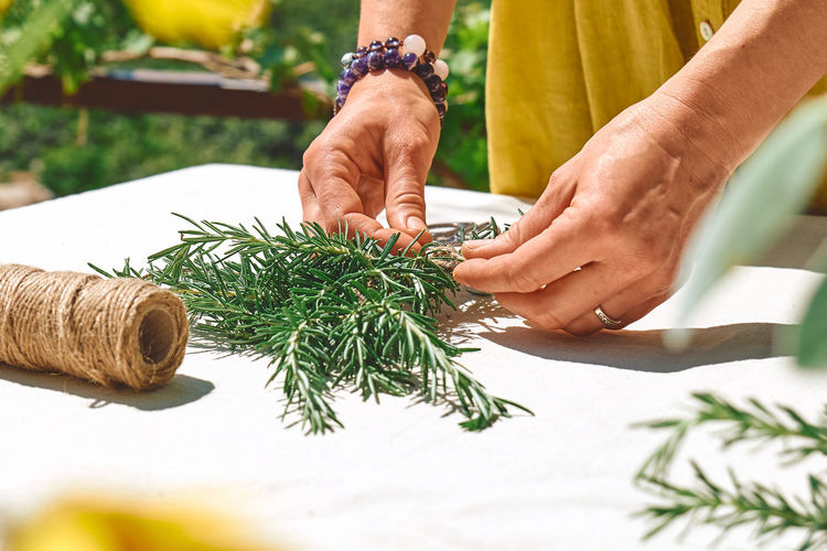 Alternative medicine. collection and drying of herbs. woman holding in her hands a bunch of rosemary