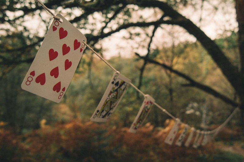 Cards hanging on rope against trees