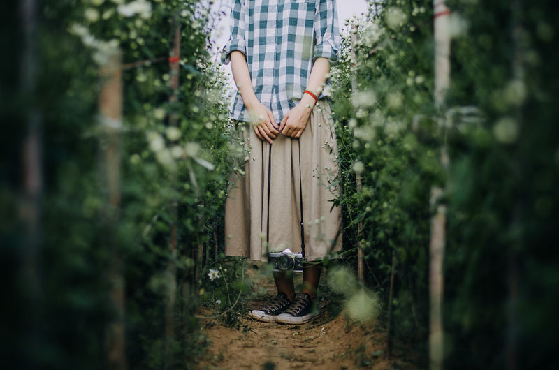 Low section of woman standing by plants
