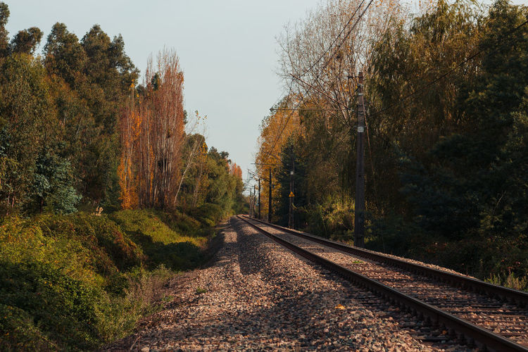 View of railroad tracks by trees against clear sky