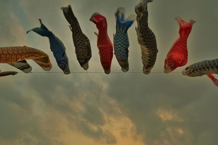 Low angle view of colorful koinobori against cloudy sky during sunset