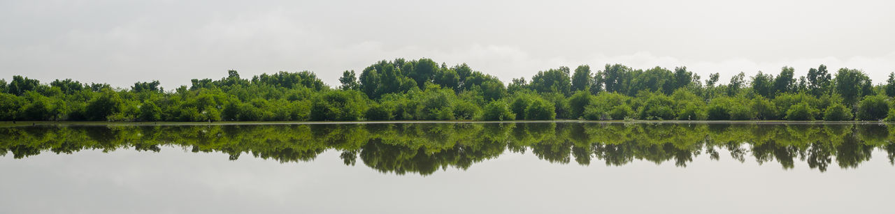 Panoramic view of lake with trees reflection of trees in lake against sky