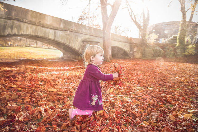 Girl carrying leaves on field during autumn