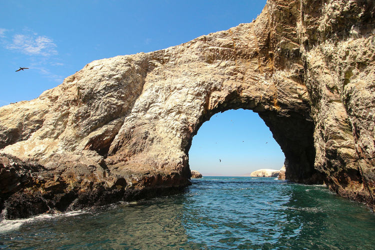 Ballestas islands, paracas, national reserve park
