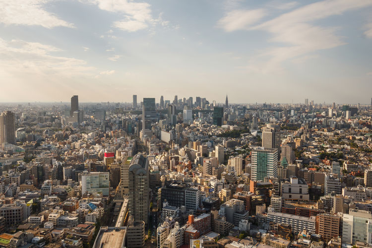 Vintage cityscape of tokyo skyline. landmark of japan